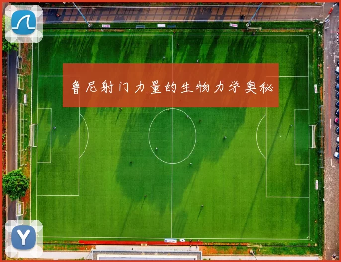 鲁尼射门力量的生物力学奥秘